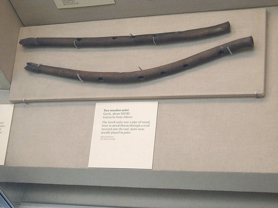 Two long, dark wooden pipes in a museum case.