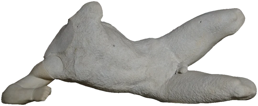 Marble figure of a naked warrior lying fallen on his side, from a temple pediment.