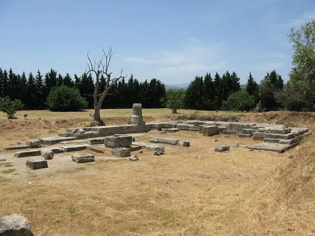Low stone foundations of a temple among dry grass and trees.