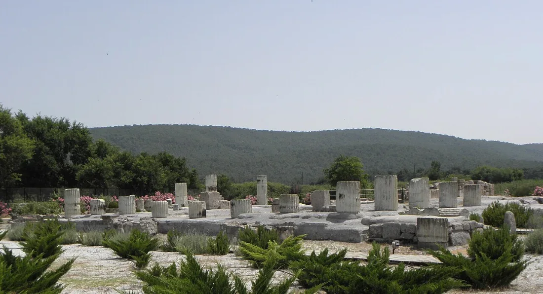 Rows of stone foundations of a temple among trees.