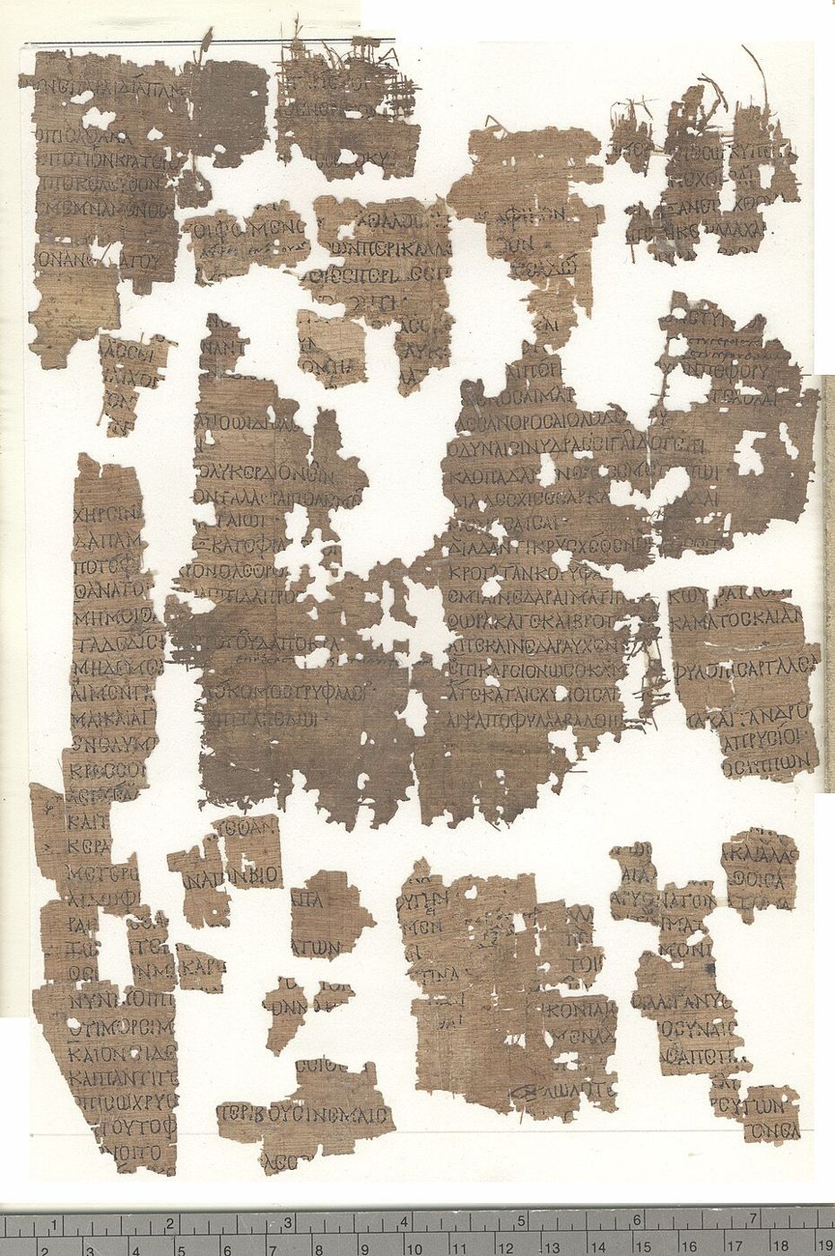 Many small papyrus fragments with Greek text, mounted together.
