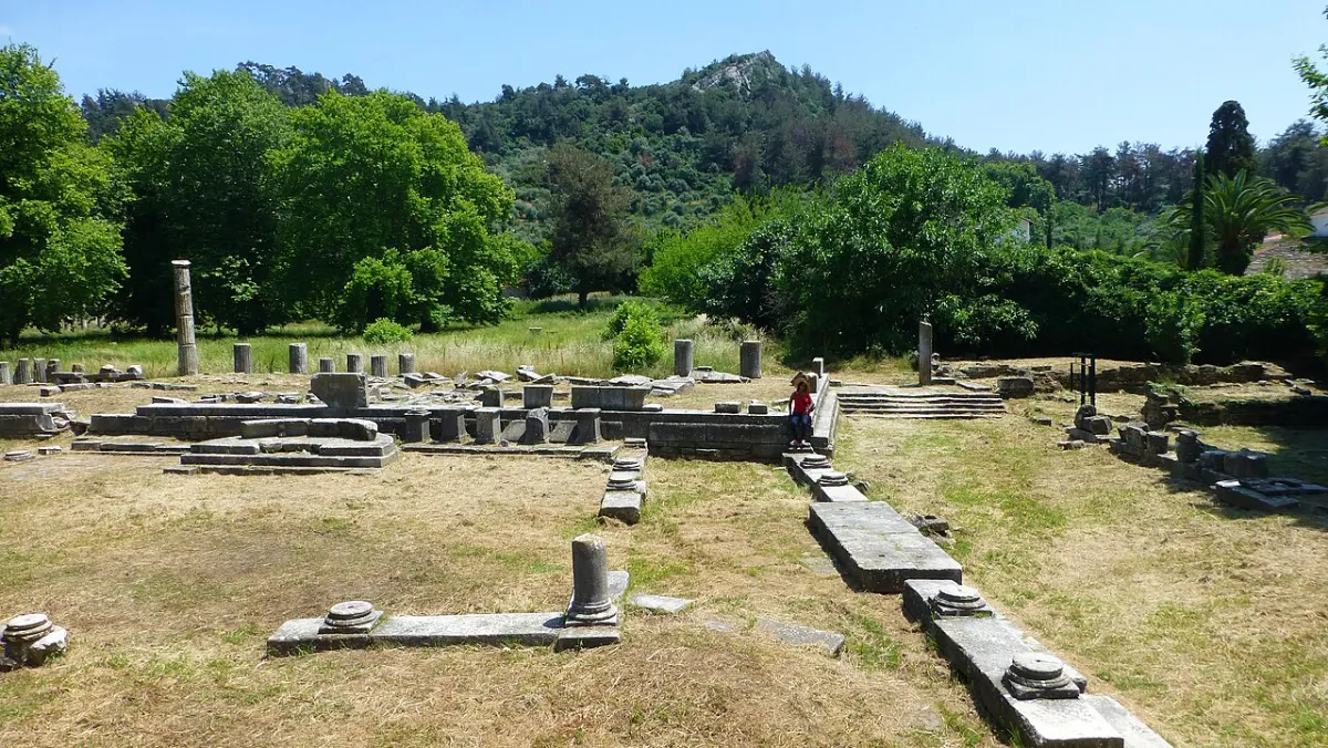 Foundations and column stumps of an ancient market square among trees, a wooded hill beyond.